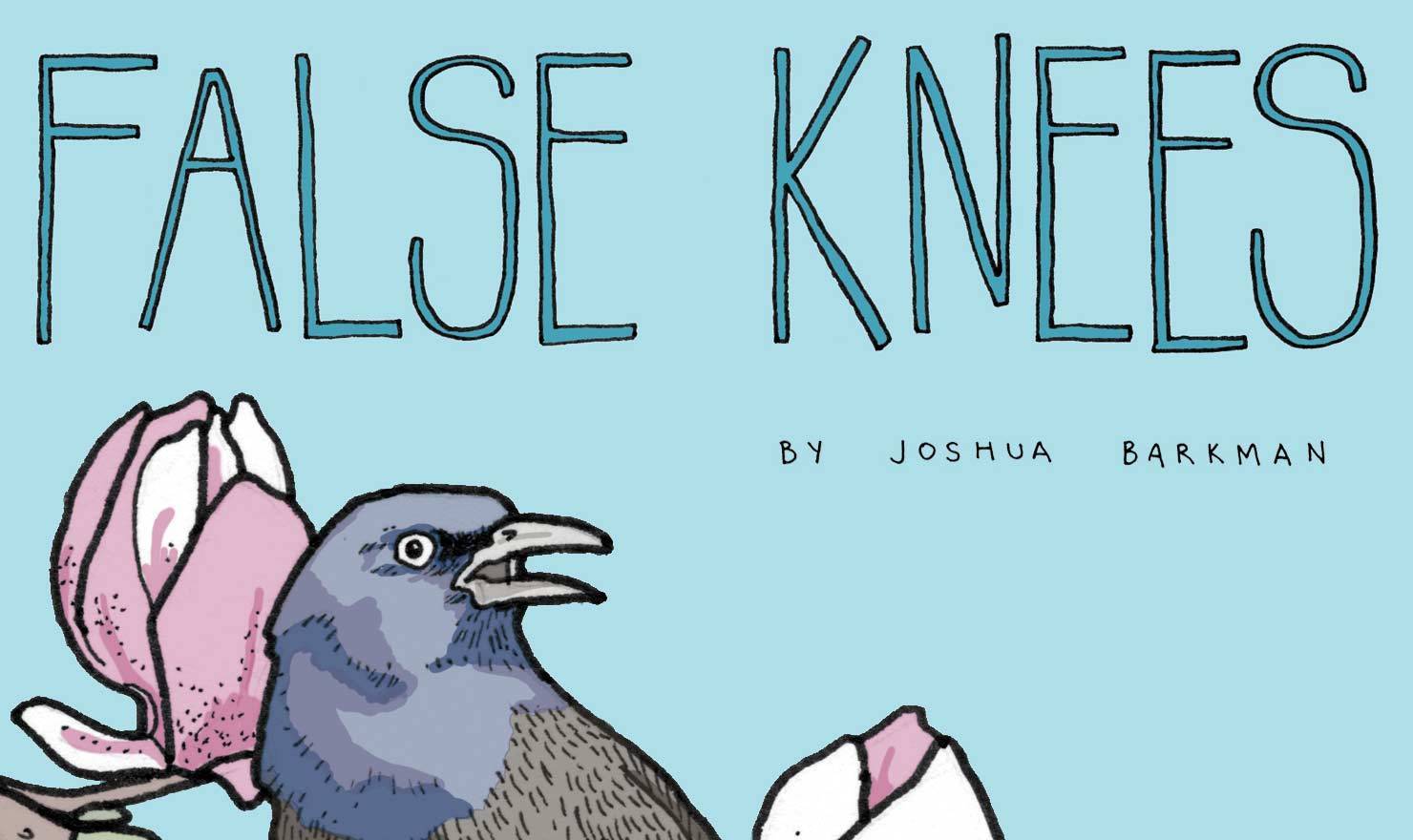 Meet Your Creator: Joshua Barkman Of 'False Knees'