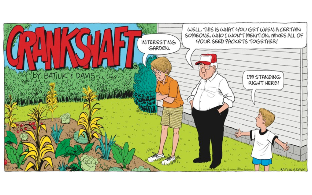 5 Features That Joined GoComics in 2023