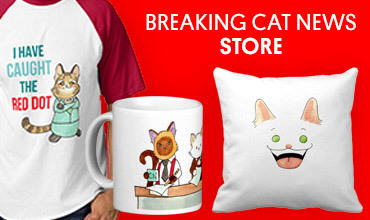 Shop the Breaking Cat News Store on Zazzle!