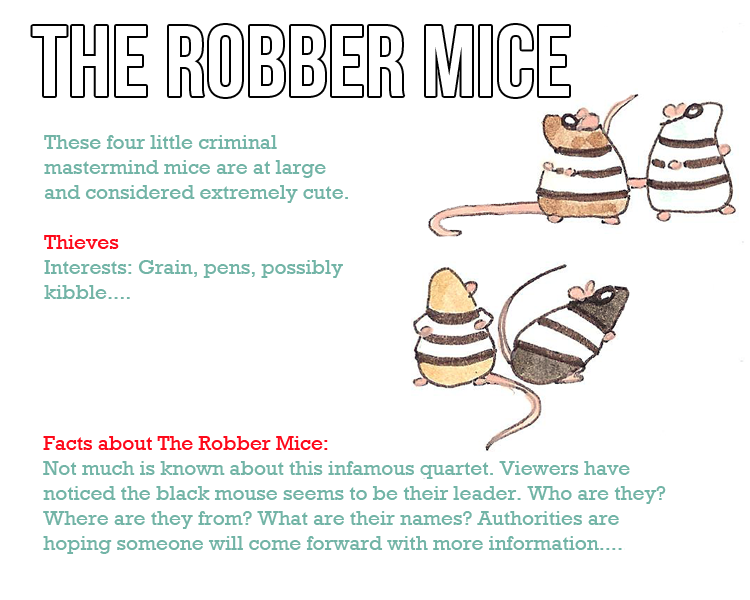 Character profile New Robber Mice